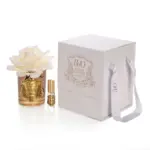 Amber Cam Gold Icon Luxury Home Perfume Krem - Görsel 4