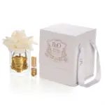 Cam Gold Icon Luxury Home Perfume Krem - Görsel 4